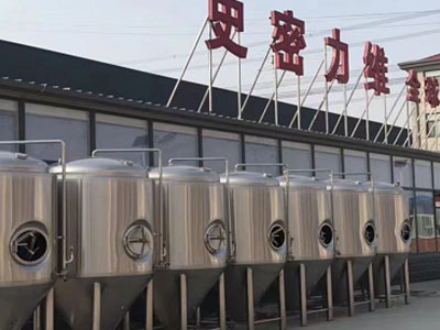 东乡精酿啤酒设备厂—市场规模与跨界新需求